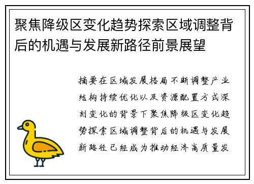 聚焦降级区变化趋势探索区域调整背后的机遇与发展新路径前景展望